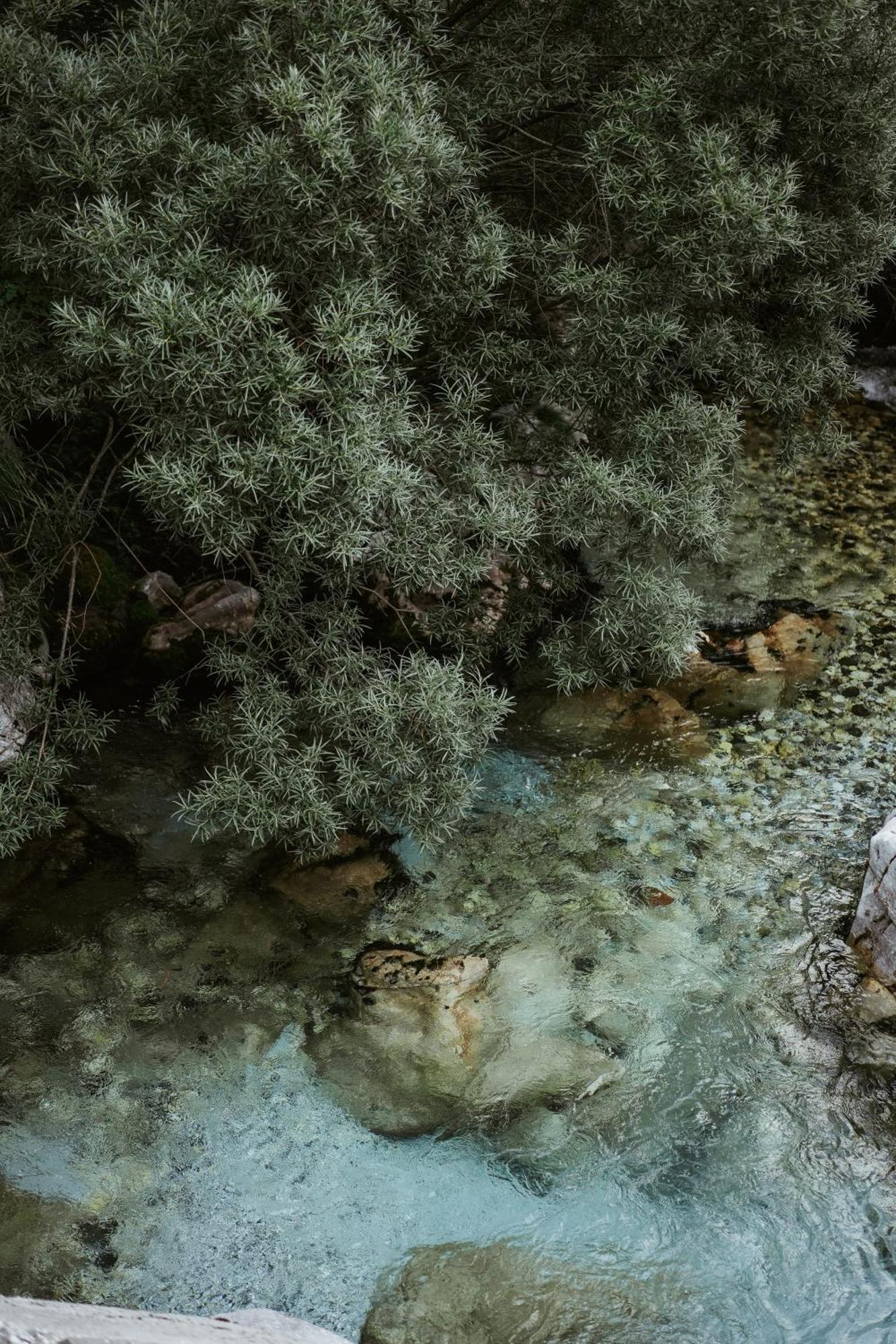 Valbona Resort & Spa Εξωτερικό φωτογραφία